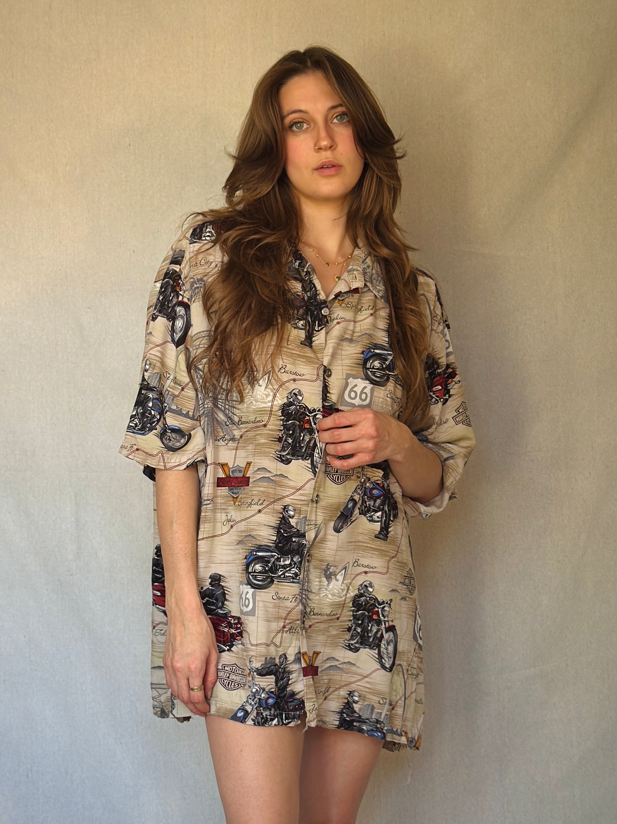 90s Harley Road Trip Landmark Button Up Shirt