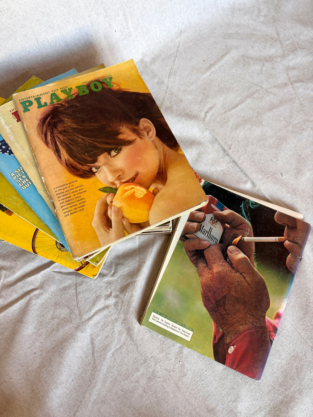 Vintage Playboy Magazine — June 1976