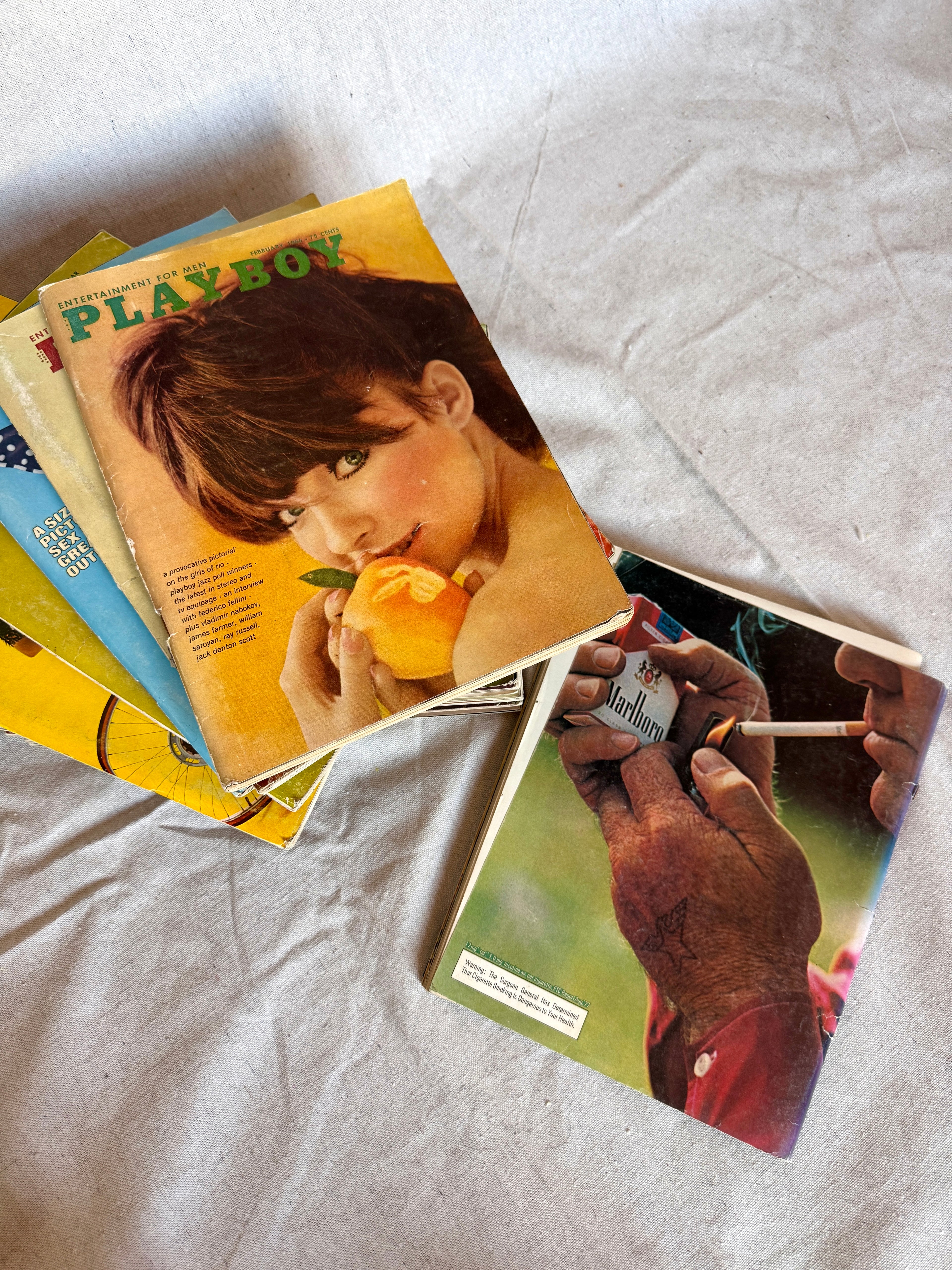 Vintage Playboy Magazine — June 1976